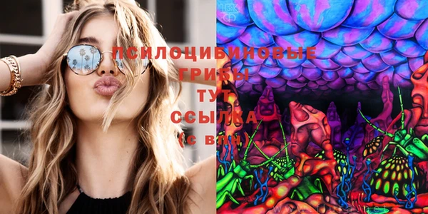 таблы Протвино