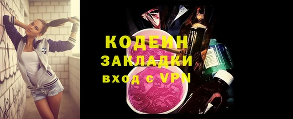 шишки Аркадак
