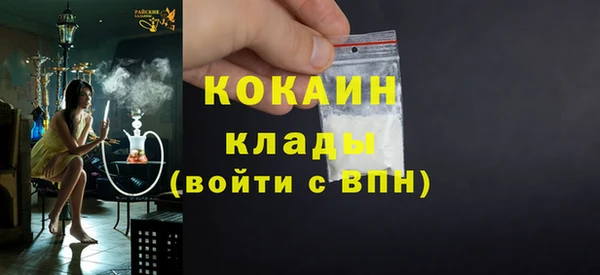 шишки Аркадак