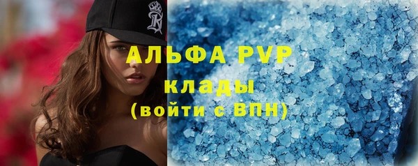 шишки Аркадак