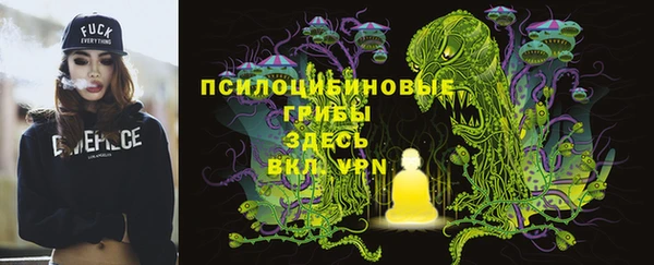шишки Аркадак