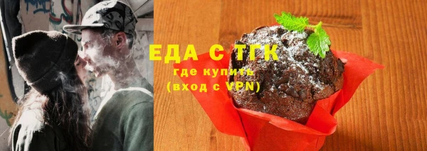 индика Балахна