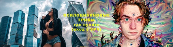 крисы Арсеньев