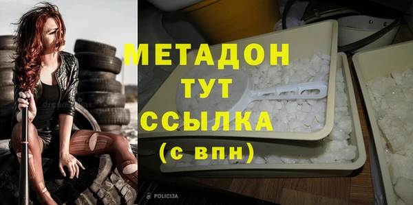 шишки Аркадак