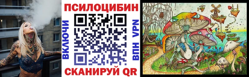 Псилоцибиновые грибы Psilocybe  Нея 